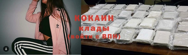 тгк Алзамай
