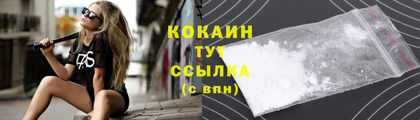 тгк Алзамай